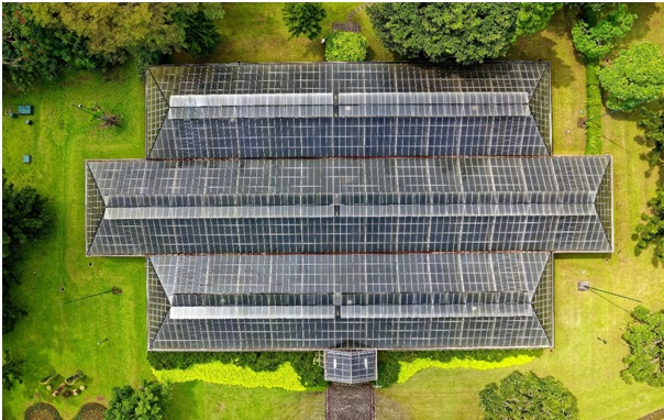 Solar On grid