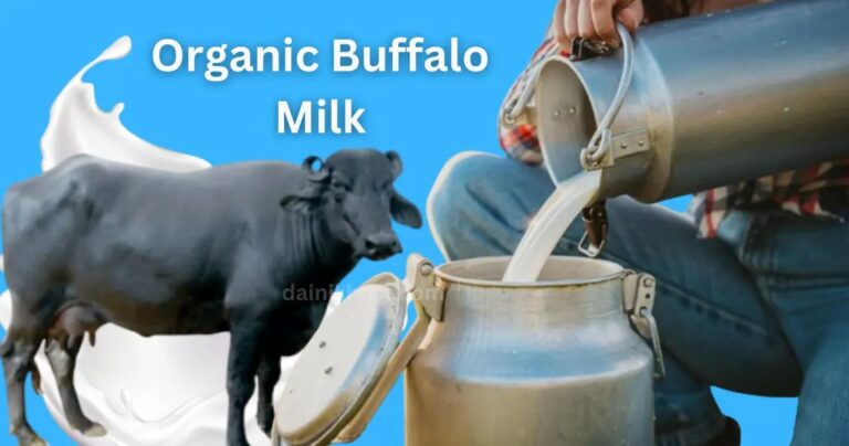 WellHealthOrganic Buffalo Milk