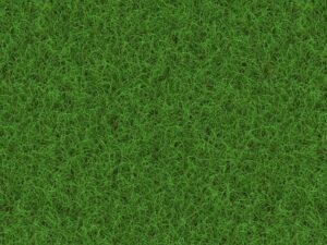 Artificial Turf