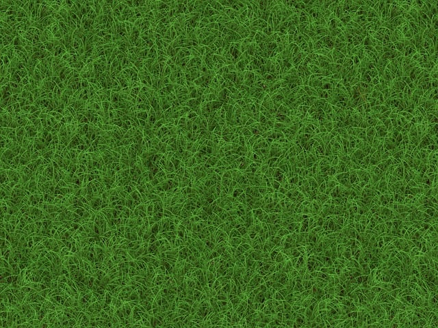 Artificial Turf