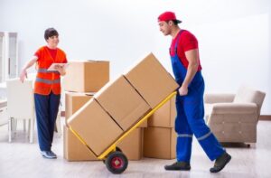 professional moving company