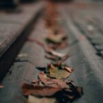 clean gutters
