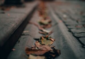 clean gutters