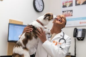 veterinarian San Antonio