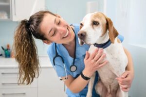 Fair Oaks veterinarian