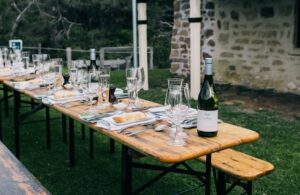 Backyard Party