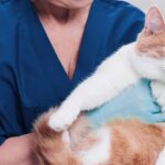 veterinarian in Guelph