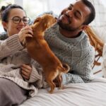 Bakersfield animal hospital