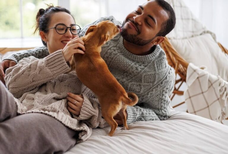 Bakersfield animal hospital