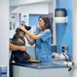 Animal Urgent Care