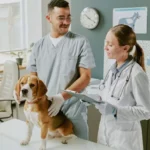 Veterinary Hospitals