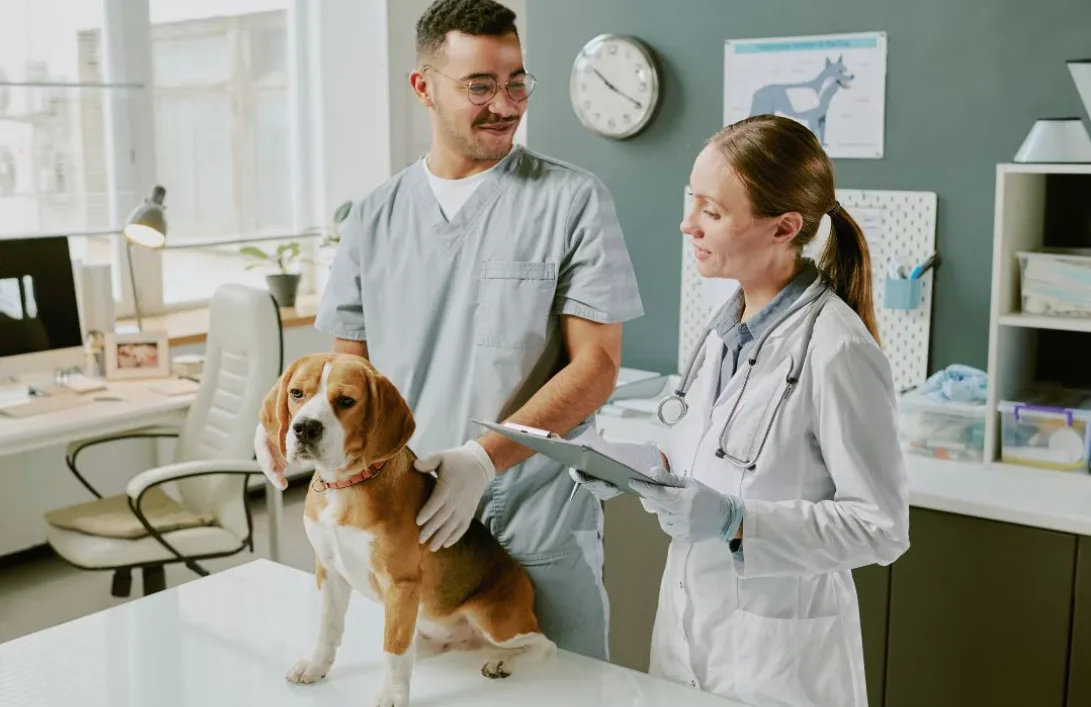 Veterinary Hospitals