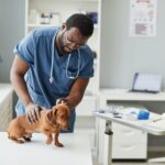 animal hospital in Gulf Breeze