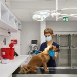 Veterinary Clinics