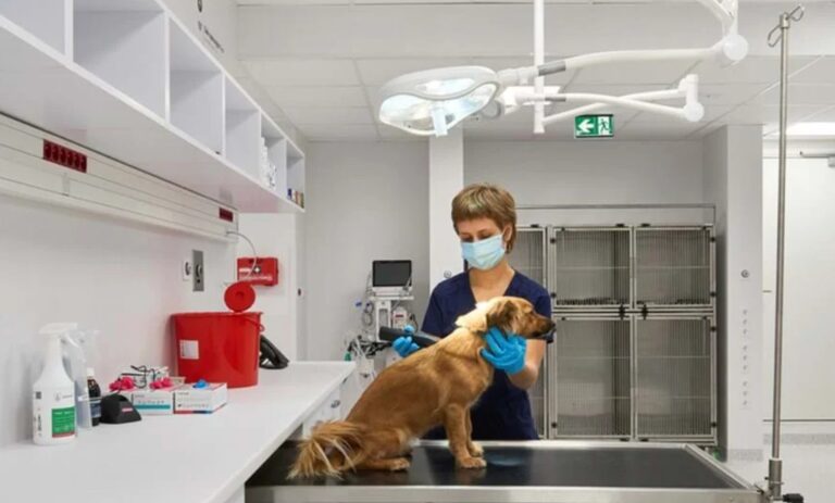 Veterinary Clinics