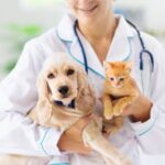 Veterinary Clinics