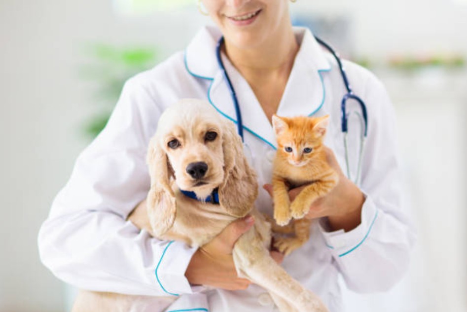 Veterinary Clinics
