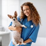Animal Hospitals