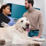 High River animal clinic