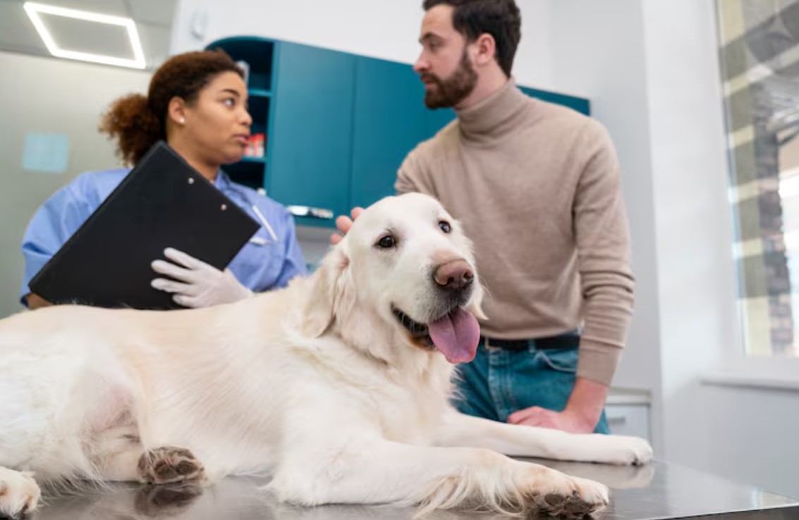 High River animal clinic