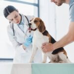Vet Clinics