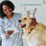 Animal Hospitals