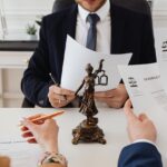 Defence Lawyer